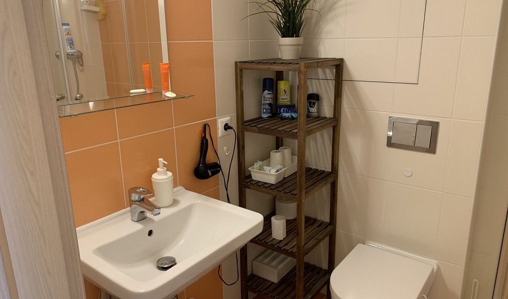 Prodej bytu 1+kk 33 m², Praha – náhled fotky 44
