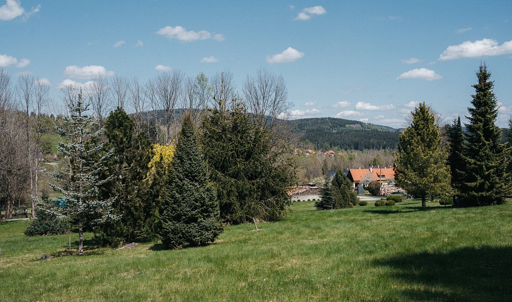 Prodej stavebního pozemku 2 273 m², Přední Výtoň – náhled fotky 6