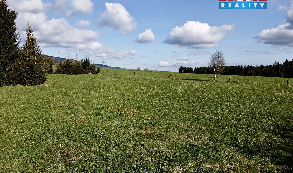 Prodej stavebního pozemku 1 517 m², Orlické Záhoří – náhled fotky 2