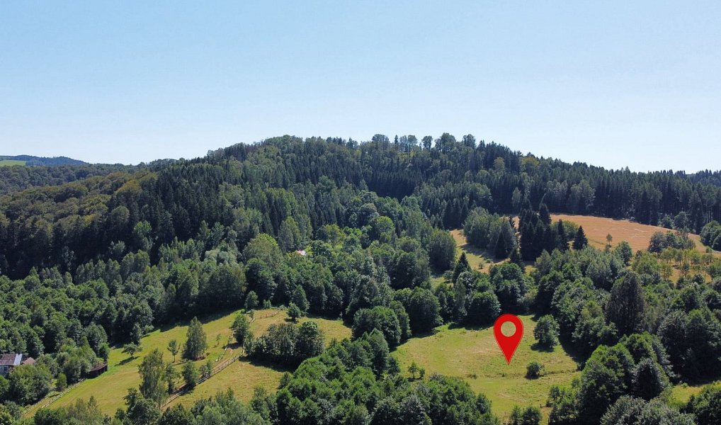 Prodej pozemku, 3027 m², Rychnov nad Kněžnou, Olešnice v Orlických horách