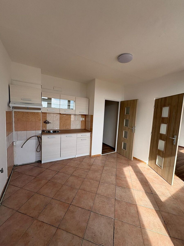 Pronájem bytu 1+1 55 m²