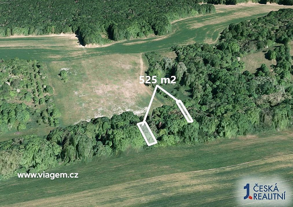 Prodej lesa 525 m² – pohled 2