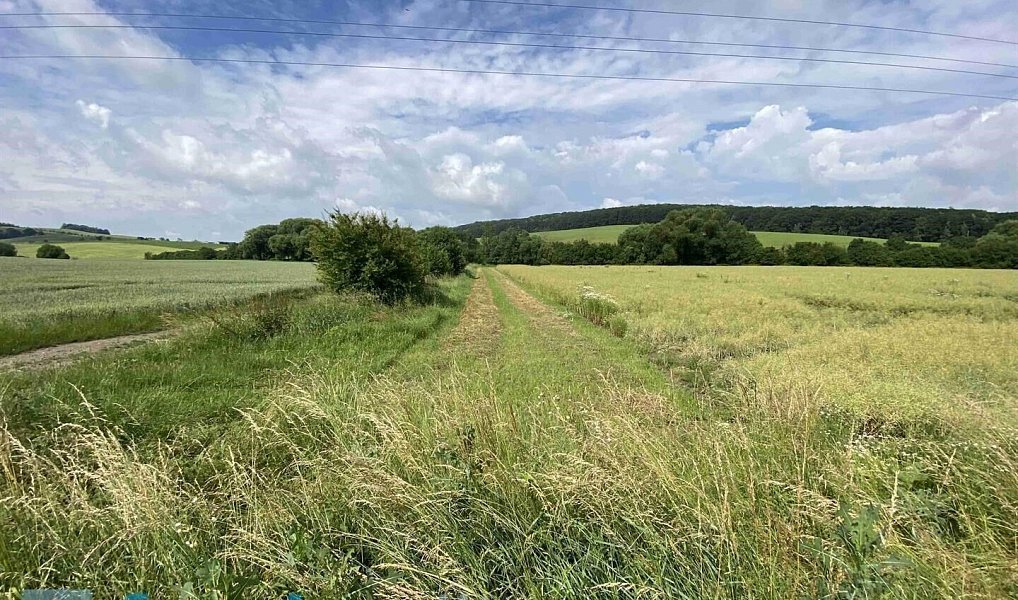 Prodej pozemku 1 582 m², Prusinovice – náhled fotky 3