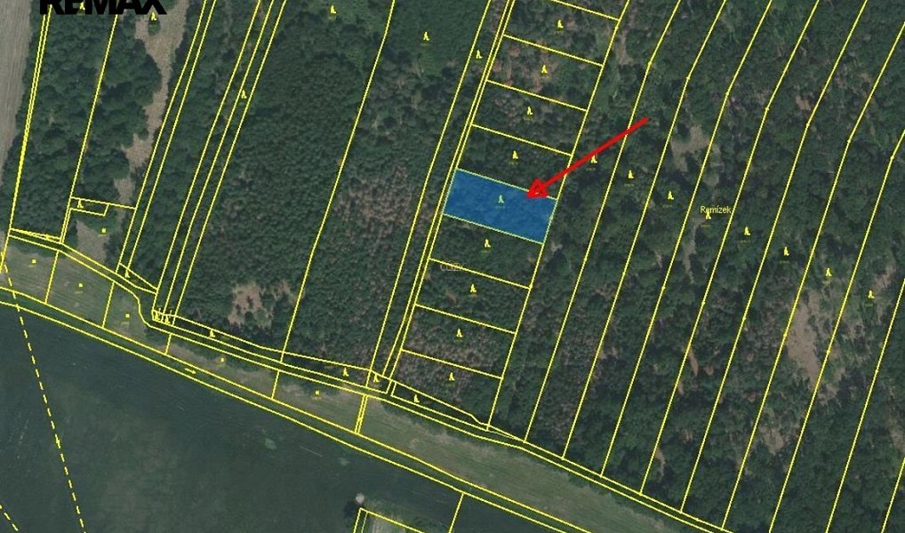 Prodej lesa 1 919 m², Pištín – náhled fotky 11