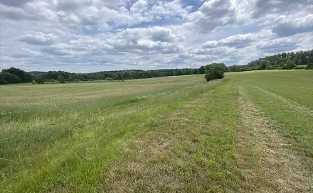Dražba pozemku 2 087 m², Člunek