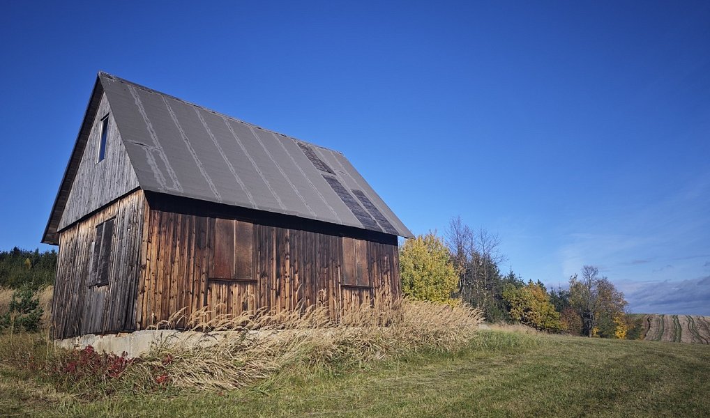 Prodej komerčního pozemku 24 491 m², Stařeč – náhled fotky 9