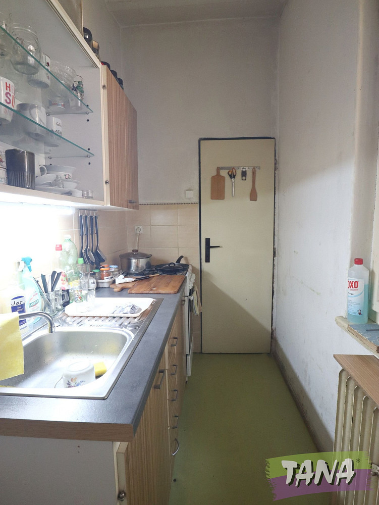 Prodej domu 339 m² s pozemkem 3 919 m² – fotografie 3