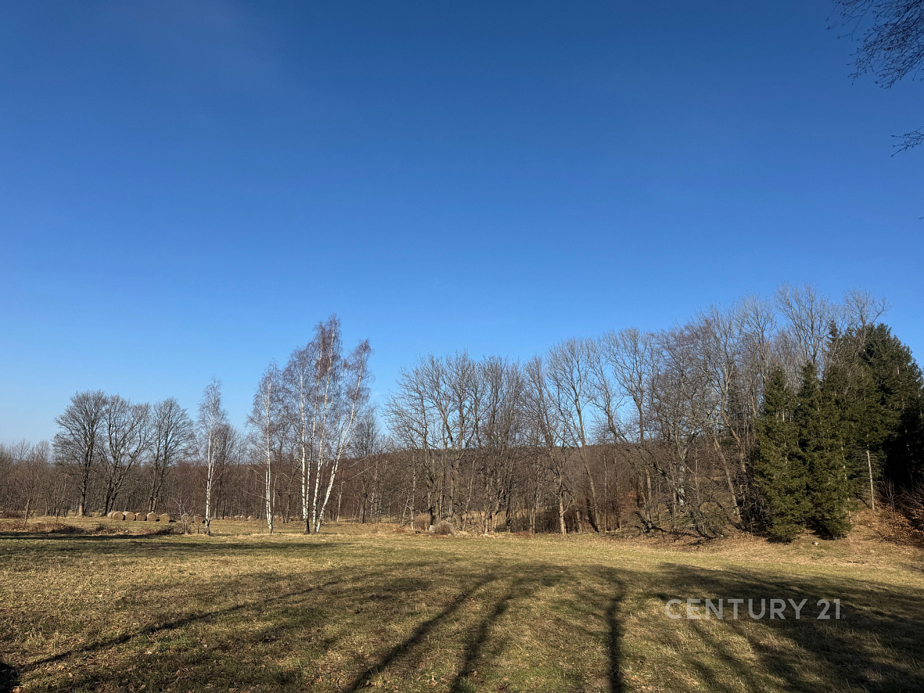 Prodej louky 3 194 m² – fotografie 5