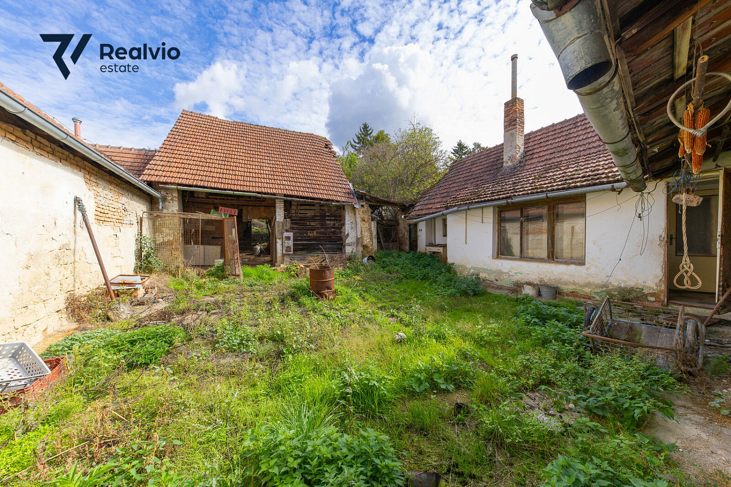 Prodej domu 100 m² s pozemkem 3 385 m² – fotografie 4