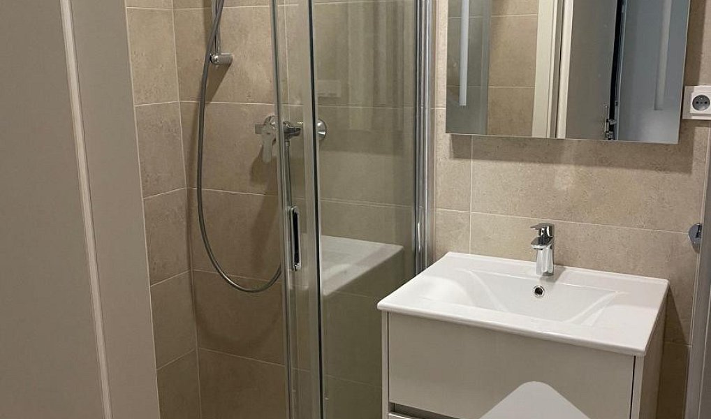 Pronájem bytu 1+kk 31 m², Brno – náhled fotky 6