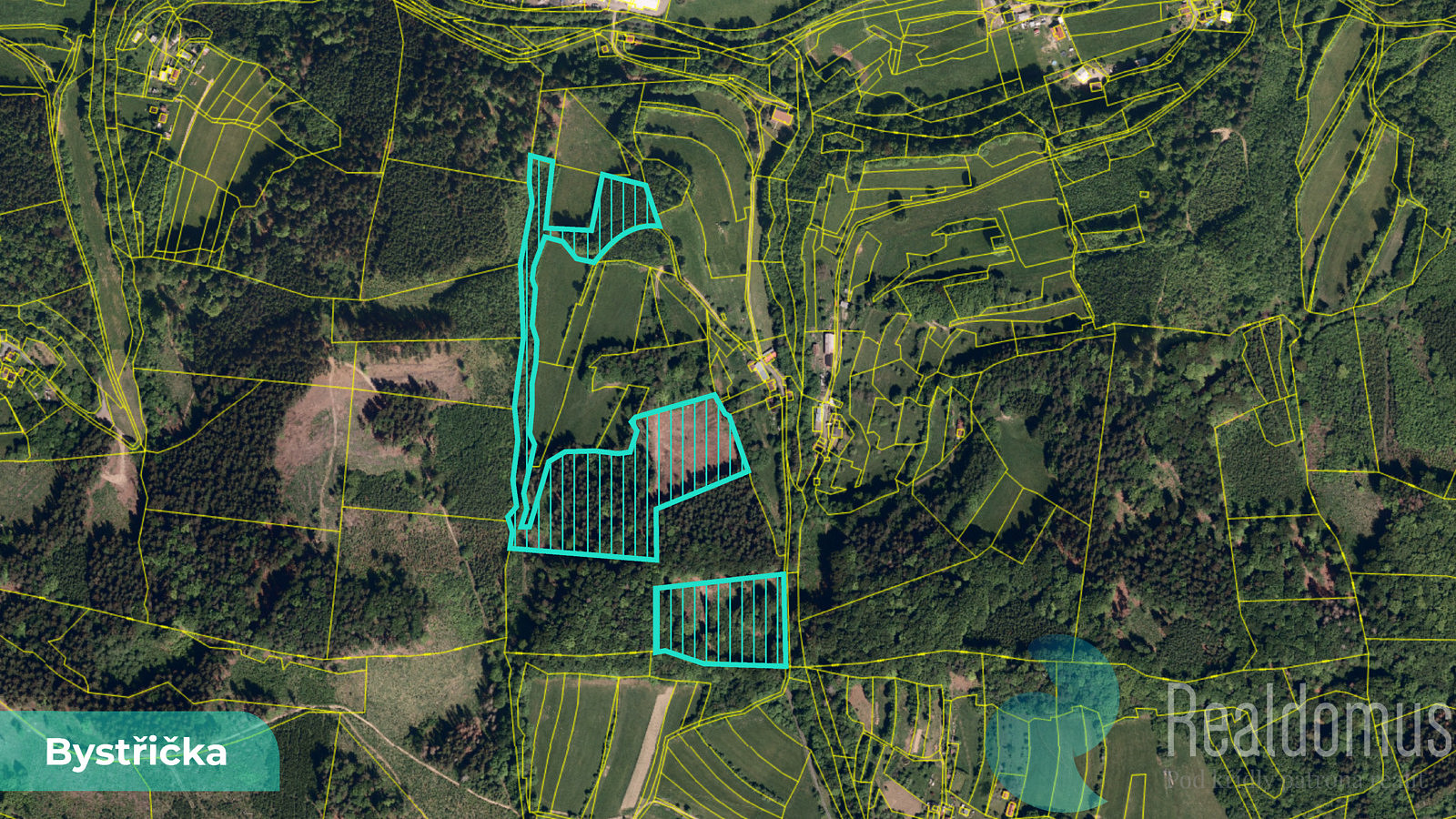 Prodej lesa 16 784 m²