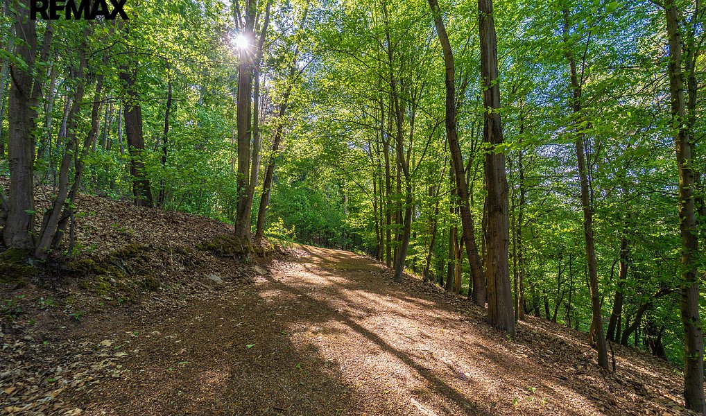 Prodej chaty/chalupy 55 m² s pozemkem 29 m², Smědčice – náhled fotky 19