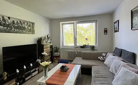 Pronájem bytu 2+1 54 m², Vyškovská, Bučovice, okres Vyškov