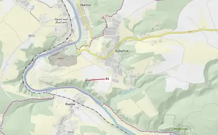 Dražba lesa 1 816 m², Račice