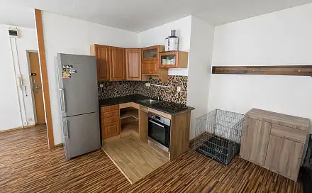 Prodej bytu 1+1 43 m², Javorová, Most