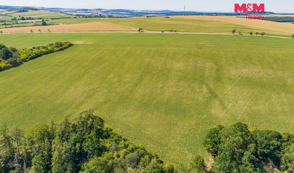 Prodej pole 4 273 m², Louňová – náhled fotky 2