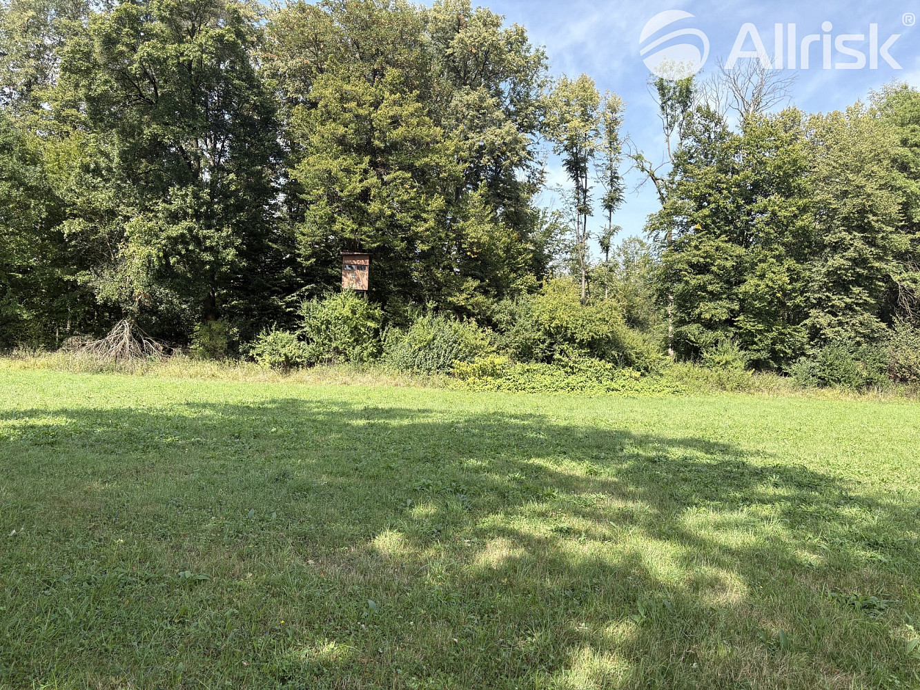 Prodej louky 2 145 m²
