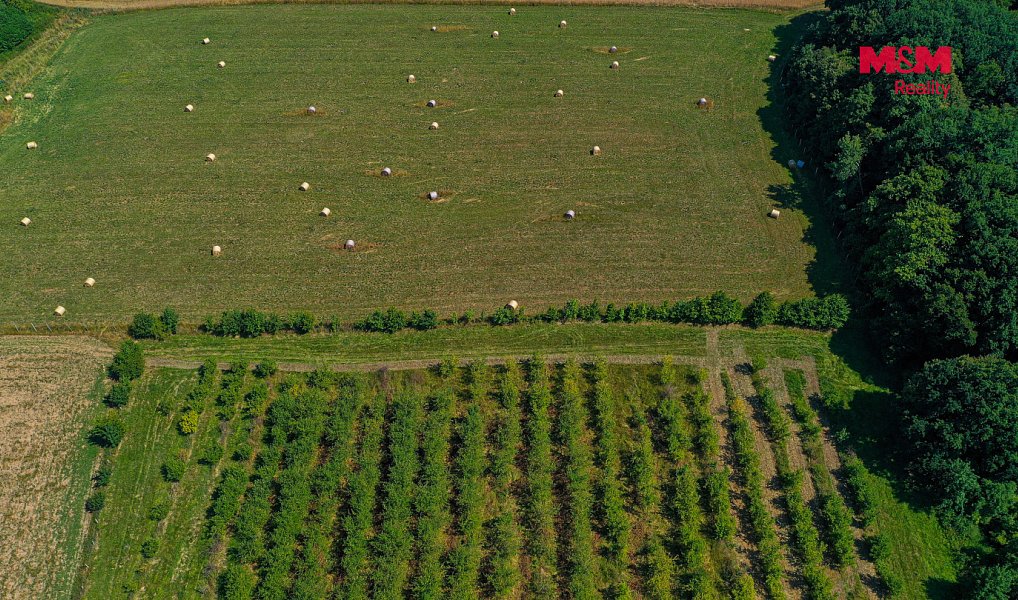 Prodej pole 2 771 m², Polom – náhled fotky 6