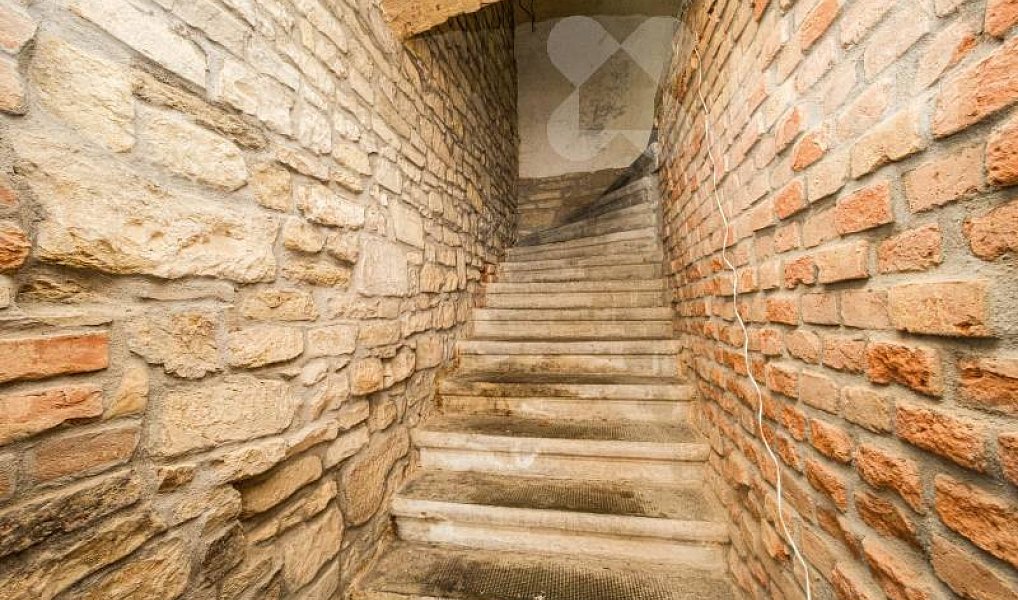 Prodej domu 170 m² s pozemkem 2 013 m², Plasy – náhled fotky 15