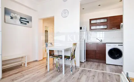 Pronájem bytu 1+kk 26 m², Haškova, Chomutov