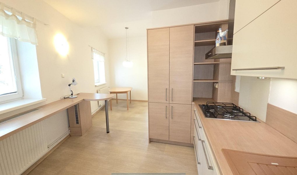 Prodej bytu 4+1 197 m², Opava – náhled fotky 3