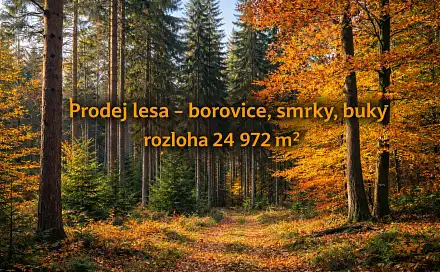 Prodej lesa 24 972 m², Jílové u Držkova, okres Jablonec nad Nisou