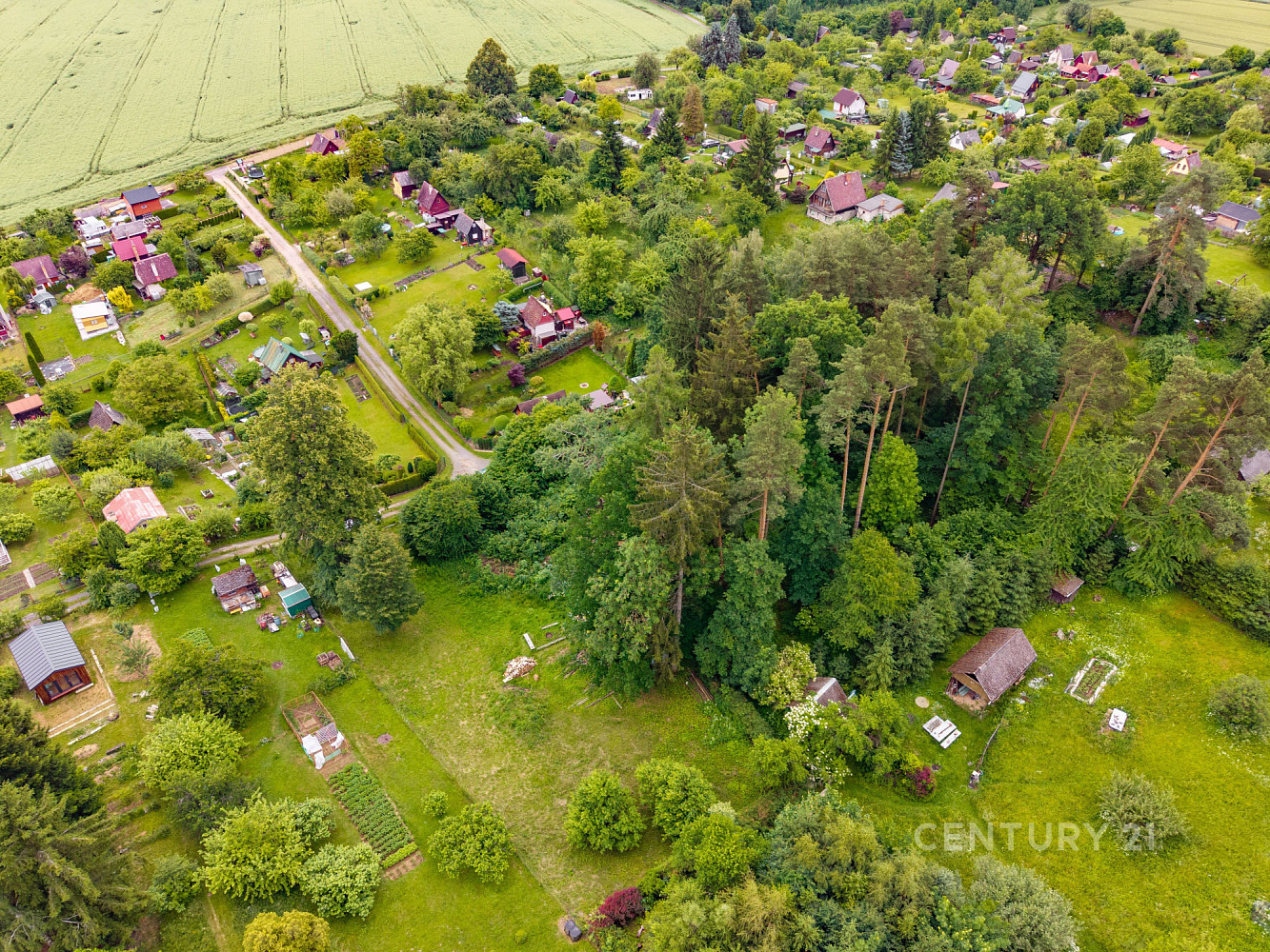 Prodej zahrady 4 170 m² – fotografie 3