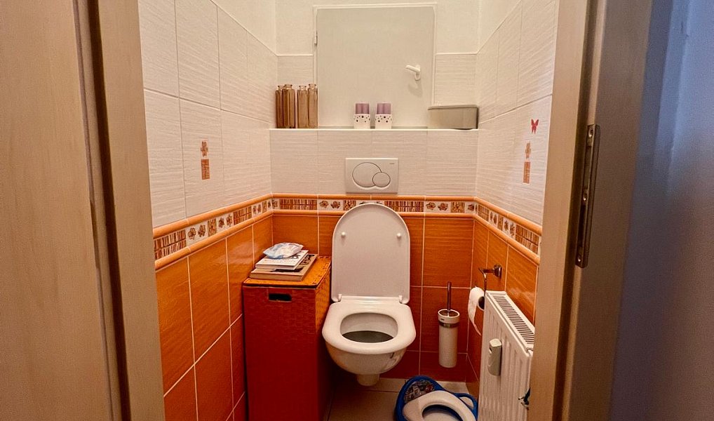 Pronájem bytu 1+kk 40 m², Jihlava – náhled fotky 6
