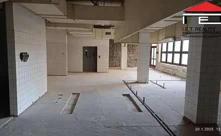 Pronájem skladovacích prostor 409 m², Vítkovická, Ostrava - Moravská Ostrava