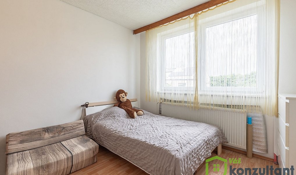 Prodej domu 220 m² s pozemkem 360 m², Bedihošť – náhled fotky 9