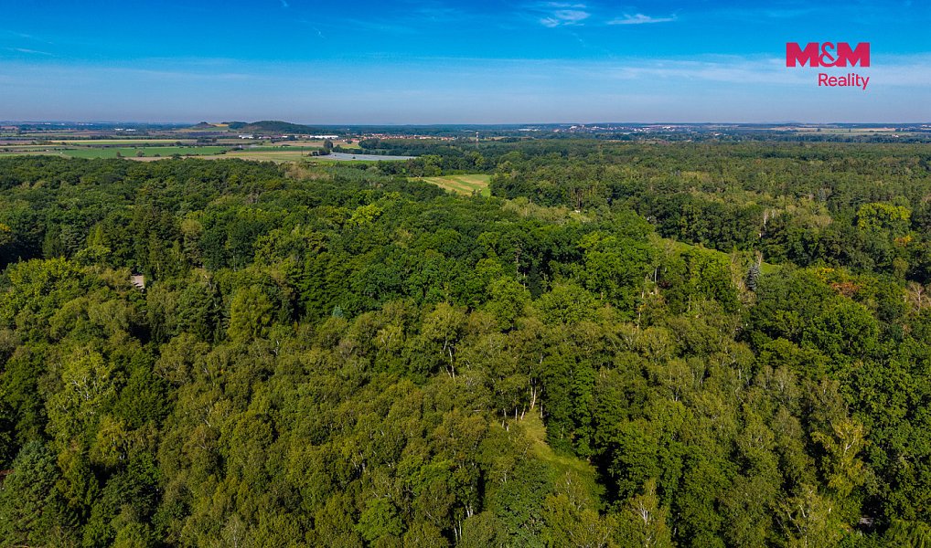 Prodej stavebního pozemku 3 825 m², Hradištko – náhled fotky 7