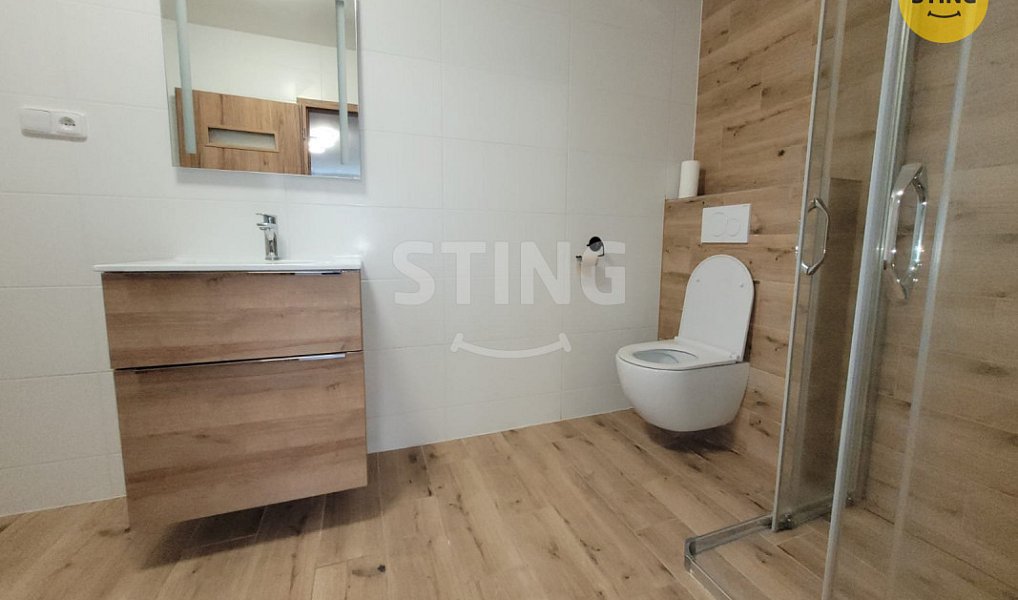 Pronájem bytu 1+kk 30 m², Ostrava – náhled fotky 8