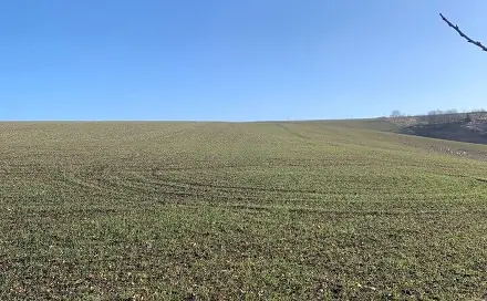 Prodej stavebního pozemku 502 m², Heršpice, okres Vyškov