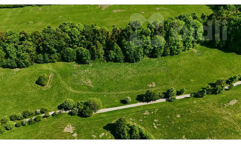 Prodej louky 7 411 m² — photo 4