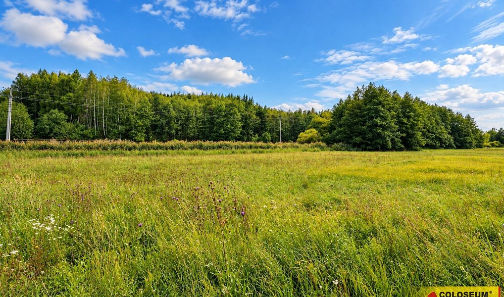 Prodej stavebního pozemku 2 012 m², Hostěnice – náhled fotky 8