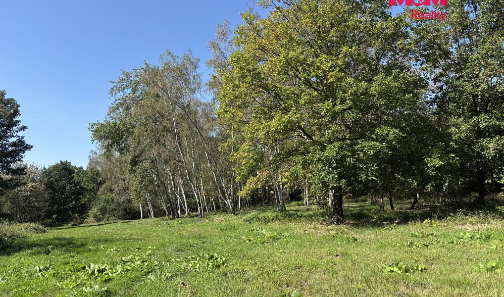 Prodej stavebního pozemku 6 184 m², Dubí – náhled fotky 3