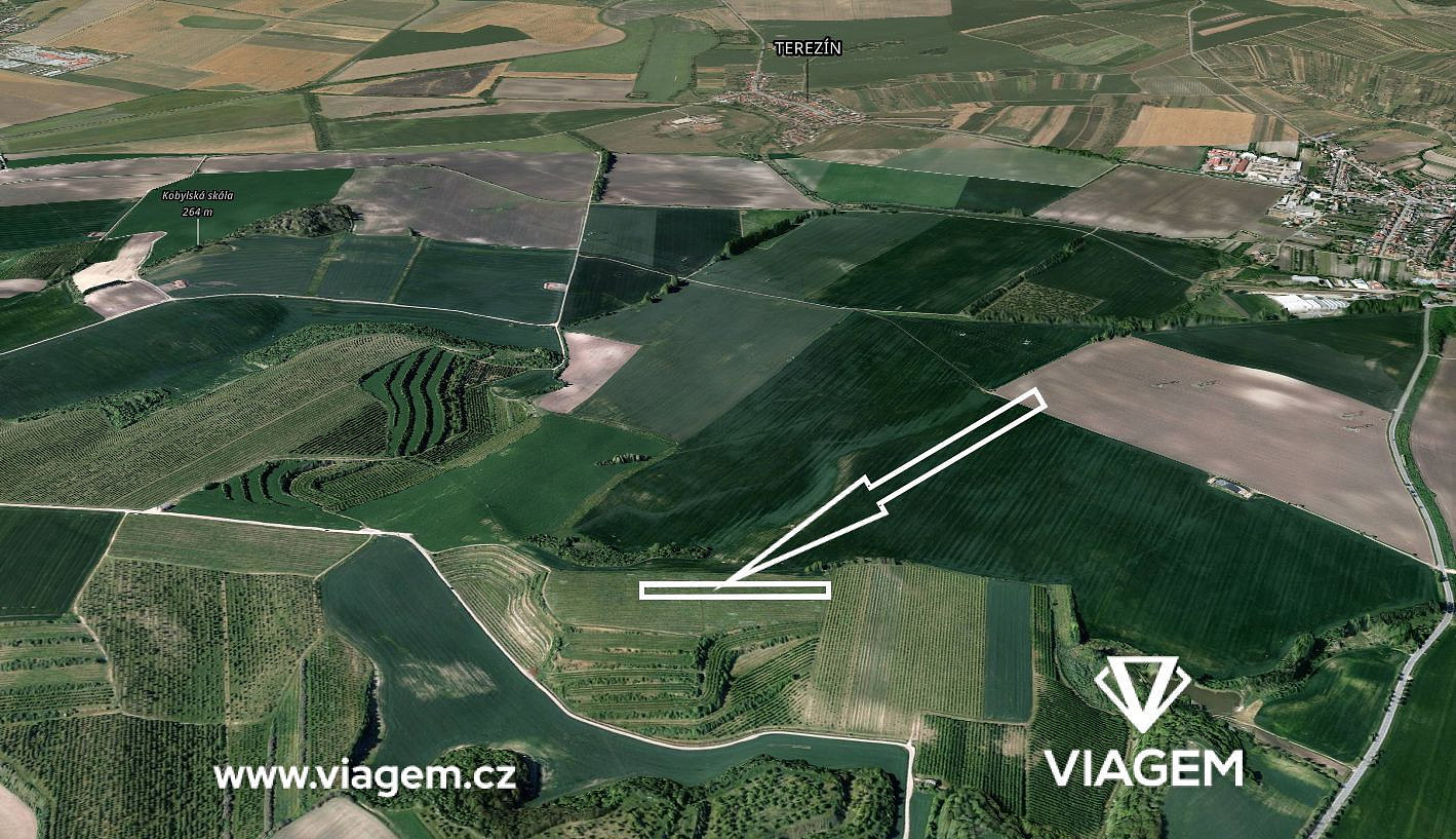 Prodej pole 1 747 m² – fotografie 2