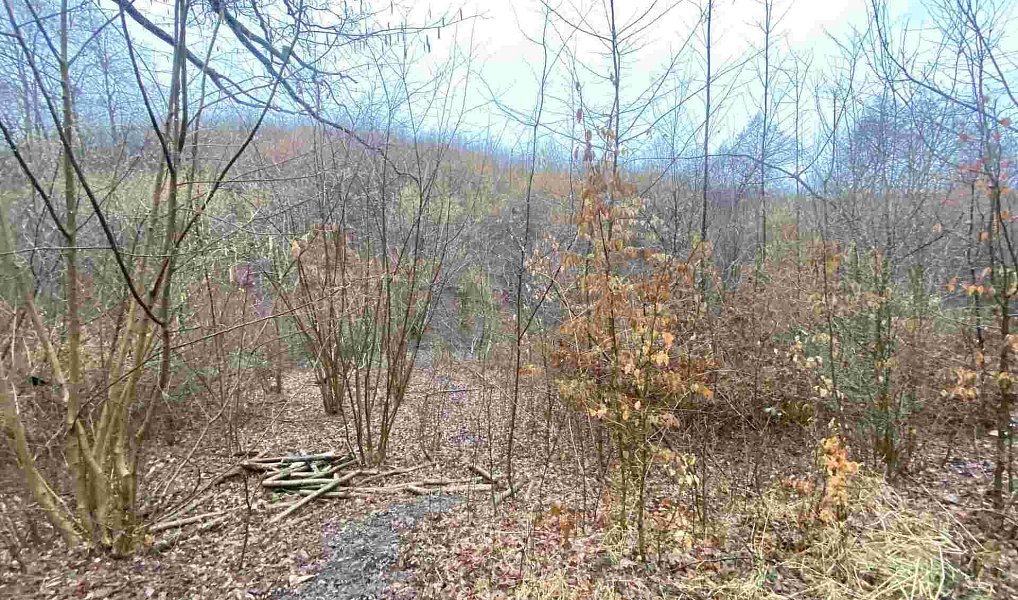 Prodej pole 3 207 m², Ždánice – náhled fotky 2