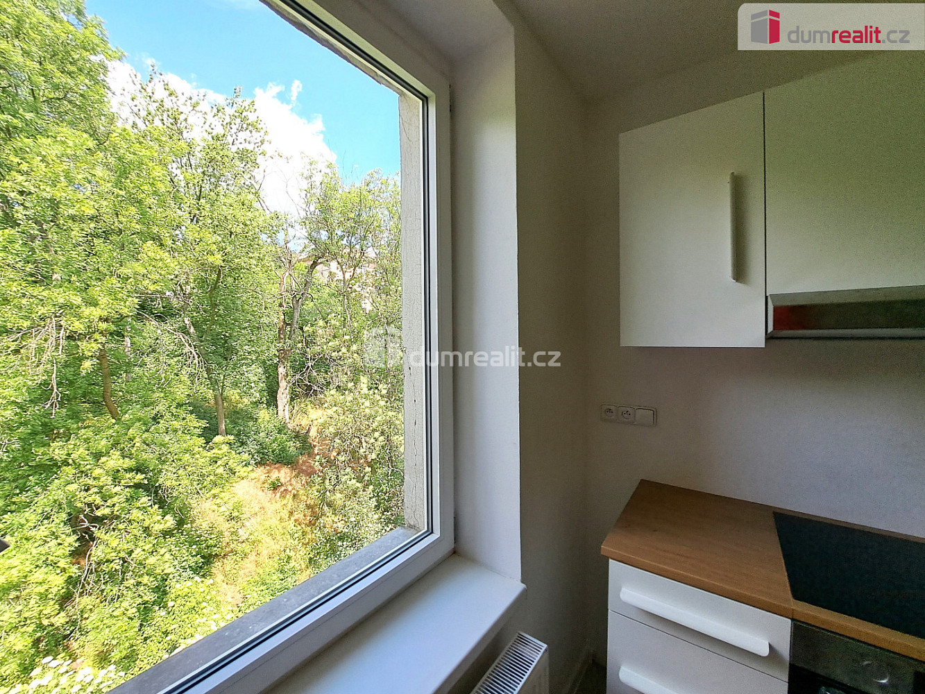 Pronájem bytu 1+1 40 m² — photo 4