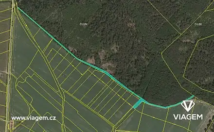 Prodej pole 2 423 m², Radenín, okres Tábor