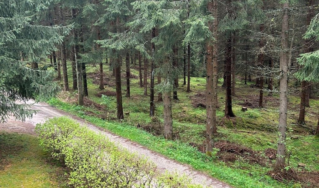 Prodej chaty/chalupy 60 m² s pozemkem 53 m², Tatrovice – náhled fotky 3