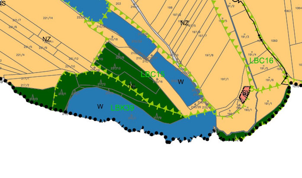 Prodej lesa 35 440 m², Chotoviny – náhled fotky 4