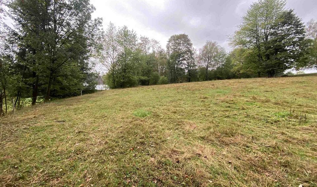 Prodej stavebního pozemku 3 849 m², Benešov nad Černou – náhled fotky 11