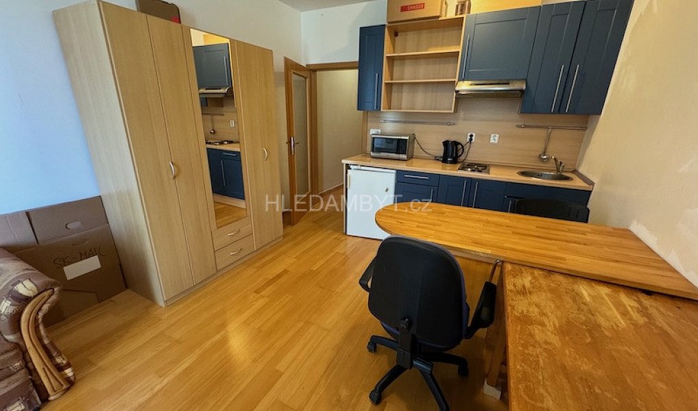 Pronájem bytu 1+kk 30 m², Praha – náhled fotky 2