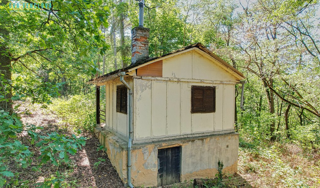 Prodej chaty/chalupy 27 m² s pozemkem 753 m², Plzeň – náhled fotky 6