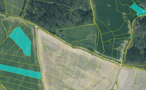 Prodej pole 53 797 m², Louňová, okres Plzeň-Jih