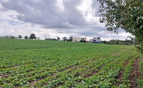 Prodej stavebního pozemku 14 107 m², Klučovská, Český Brod, okres Kolín