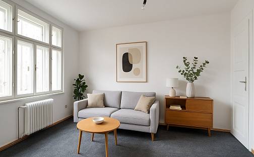 Pronájem bytu 3+1 121 m², Těsnohlídkova, Brno - Černá Pole