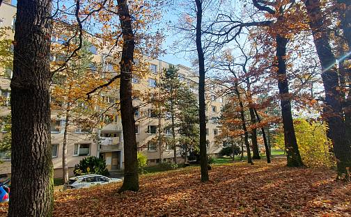 Prodej bytu 3+1 80 m², Kosmonautů, Teplice