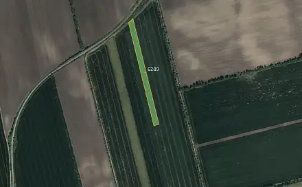 Prodej pole 10 196 m², Lipov, okres Hodonín